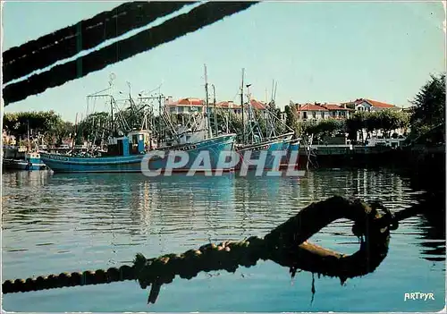 Cartes postales moderne Collection d Art Pyreneen Cote Basque Saint Jean de Luz Bateaux de peche