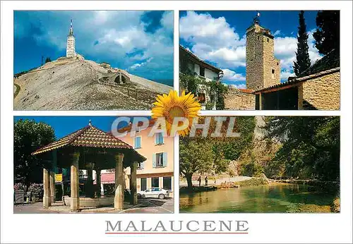 Cartes postales moderne Sous le soleil de la Provence Malaucene Vaucluse France Le Mont Ventoux le Geant de Provence La