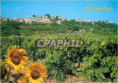 Cartes postales moderne Image du Luberon Menerbes