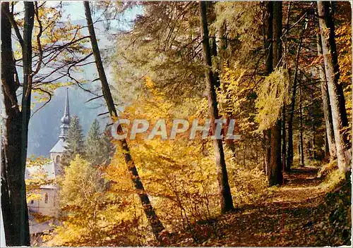 Cartes postales moderne En Haute Savoie Dans la vallee d Abondance Poeste d automne en sous boie