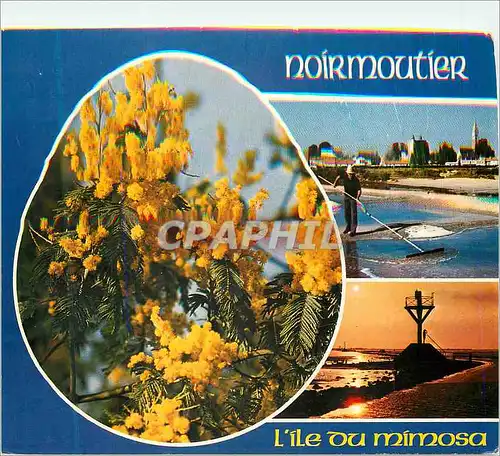 Cartes postales moderne Couleurs de Vendee Ile de Noirmoutier