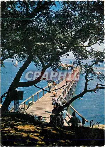 Cartes postales moderne Noirmoutier Estacade de Bais de la Chaize