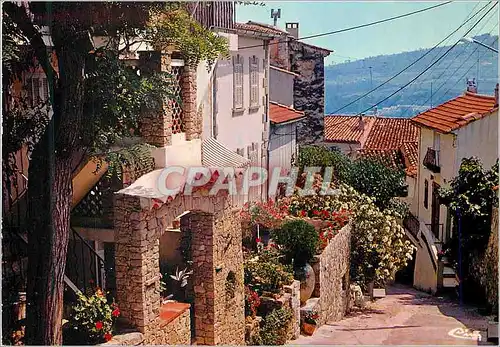 Cartes postales moderne La Cadiere d Azur Var Vieux village provencal Rue des anciennes ecoles