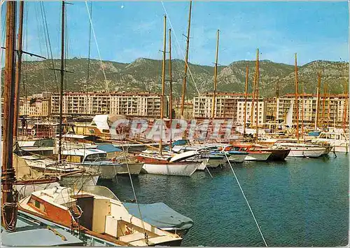 Cartes postales moderne La Cote d Azur Pays du Soleil Toulon Voiliers et hors bord dans le Port Montagne du Faron Bateau