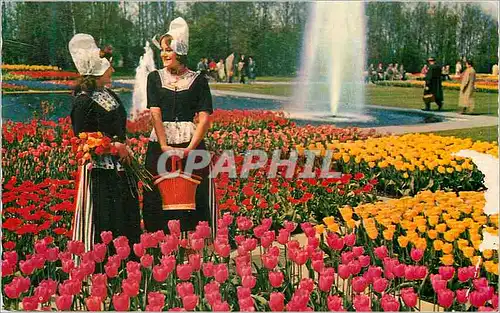 Cartes postales moderne Holland in Flowerdecoration Folklore