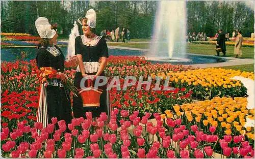 Moderne Karte Holland in Flowerdecoration Folklore