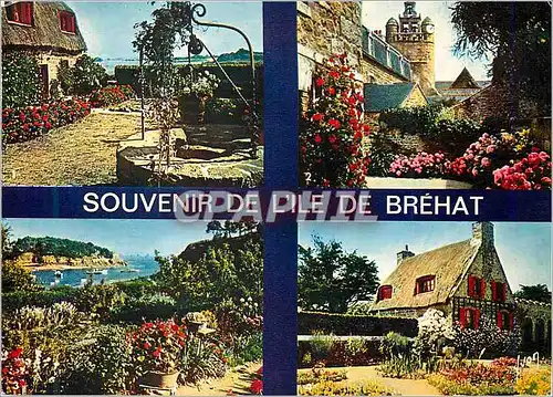 Cartes postales moderne Couleurs et Lumiere de France La Bretagne Ile de Brehat Cotes du Nord Ile des fleurs et des roch
