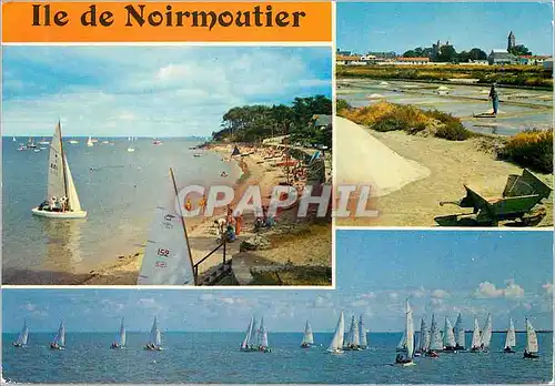 Cartes postales moderne La Vendee Pittoresque Ile de Noirmoutier La plage le marais salant Les regates