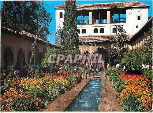 Cartes postales moderne Granada Generalife Supplier court