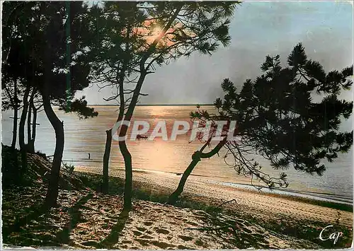 Cartes postales moderne Bassin d Arcachon Coucher de Soliel