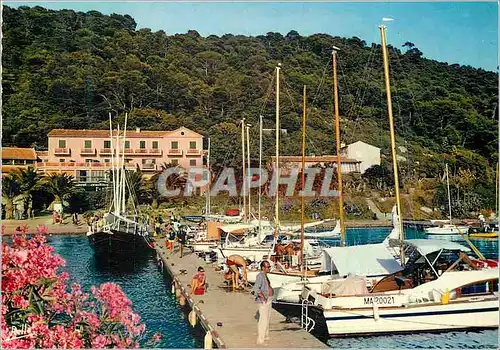 Cartes postales moderne La Cote d Azur Varoise Ile de Port Cros Var L embarcadere Bateaux