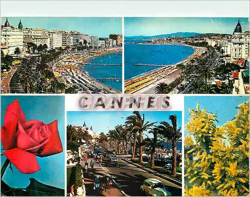 Cartes postales moderne La Cote d Azur Cannes Les Palais de la Croisette