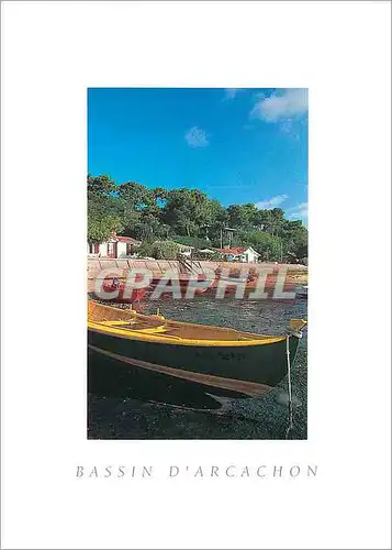Cartes postales moderne Bassin d Arcachon