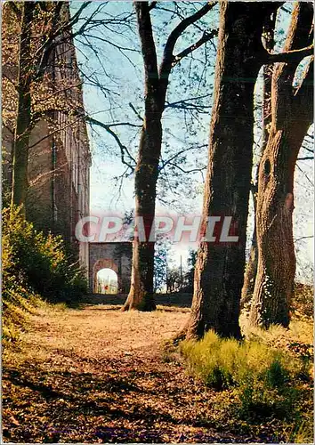 Cartes postales moderne Flavigny Ozerain C d Or Maison Lacordiare Entree vue du sous bois