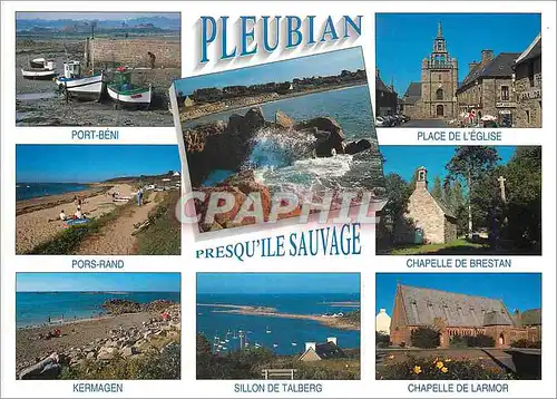 Cartes postales moderne Couleurs de Bretagne La Prequ Ile Sauvage Pleubian Cotes d Armor Les sites touristiques