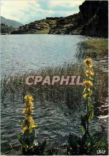 Cartes postales moderne La Cerdagne Francaise Les lacs du Carlite Lac de Pradeille