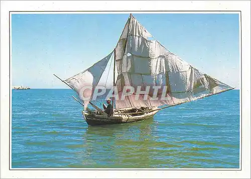 Cartes postales moderne Haiti Port au Prince Bateau de peche