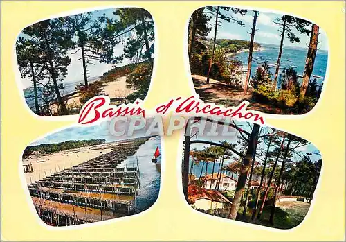 Cartes postales moderne Bassin d Arcachon