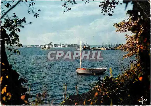 Cartes postales moderne La Bretagne en Couleurs L Ile Tudy Vue prise de Loctudy