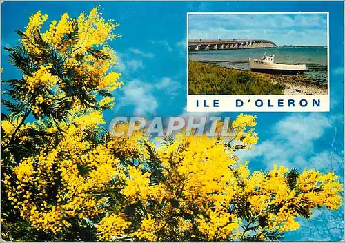 Cartes postales moderne Ile d Oleron Charente Mme Pont d Oleron Charente Maritime Le plus long viaduc de France dant les