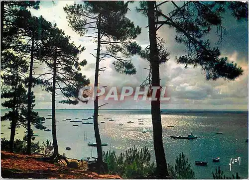 Cartes postales moderne Couleurs et Lumiere de France Arcachon Gironde Crepuscule sur le Bassin d Arcachon