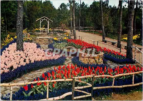 Cartes postales moderne Cote de Lumiere La Tranche Sur Mer Vendee Les Floralies exposition Mars Avril