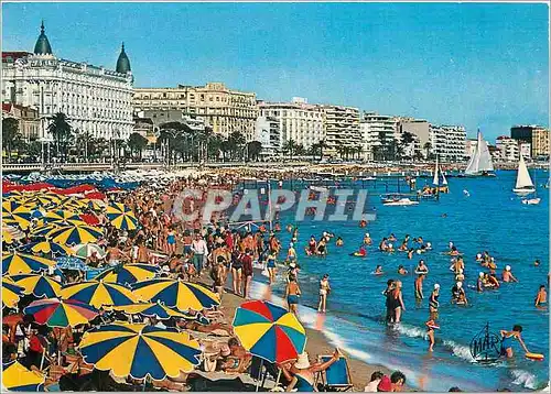 Cartes postales moderne La Cote d Azur Cannes La Croisette La Plage