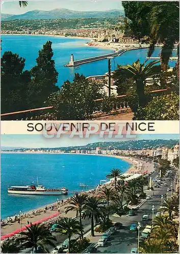 Cartes postales moderne Souvenir de Nice