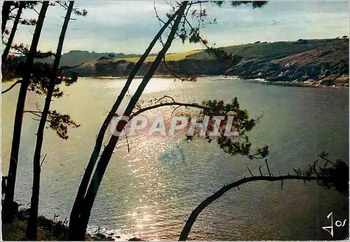 Moderne Karte La Bretagne En Couleurs Soir d ete sur une riviere bretonne Le Belon entre Kerfany les Pins et P