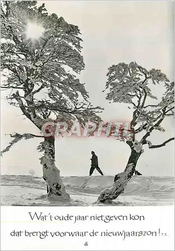 Cartes postales moderne Wat toude jaar nietgeven kon dat brengt voorwaar de nieuwjaarszon Schneiders Bavaria