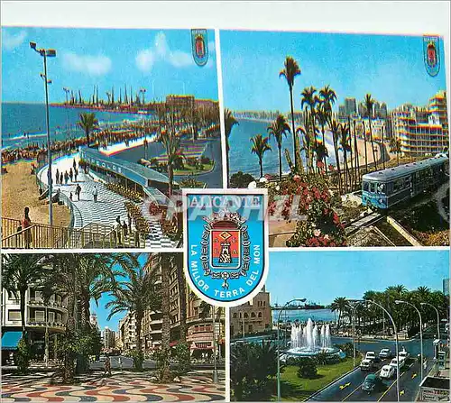 Cartes postales moderne Alicante Espana