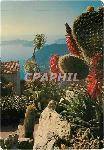 Cartes postales moderne Couleurs et Lumiere de France La Cote d Azur Eze Village Alpes Maritimes Village Jardin Exotique