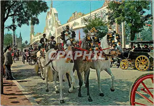 Cartes postales moderne Sevilla Feria de Abril