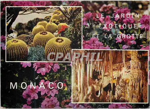 Cartes postales moderne Reflets de la Cote d Azur Prinipaute de Monaco Le Jardin Exotique et le Grotte