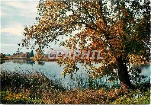 Moderne Karte En Sologne A l Automne un etang