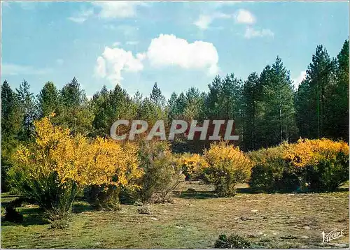 Moderne Karte En Sologne Les genets