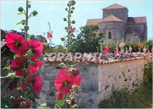 Cartes postales moderne Talmont Roses Tremieres et eglise Sainte Radegonde