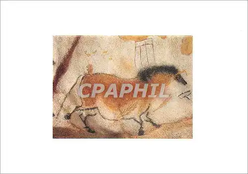 Cartes postales moderne Lascaux Montignac Dordogne Perigord Second cheval chinois Diverticule Axial parol droite
