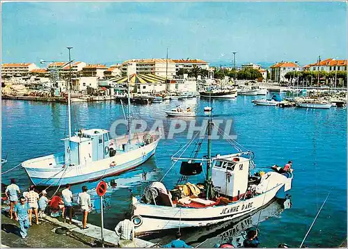 Cartes postales moderne Cote Varoise Saint Raphael Le port de peche au fond Frejus Plage Bateaux de peche