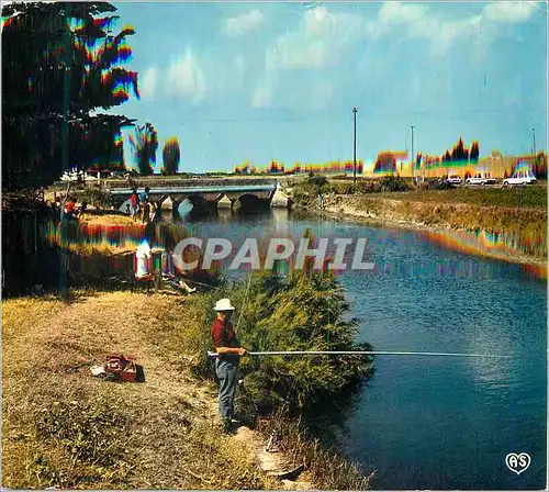 Cartes postales moderne La Vendee Marais Vendeen Peche