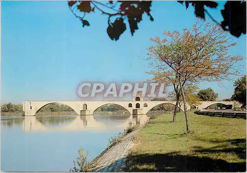 Cartes postales moderne Avignon Pont St Benezet