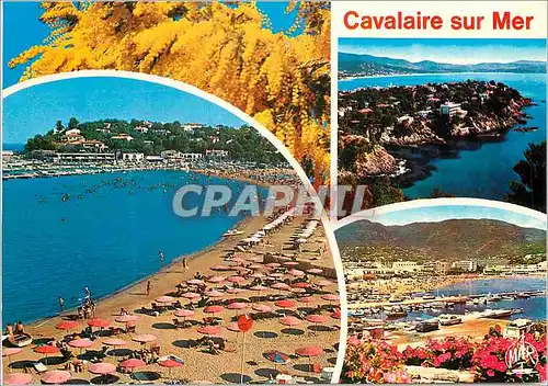 Cartes postales moderne Cavalaire sur Mer (Var) La Cote d'Azur