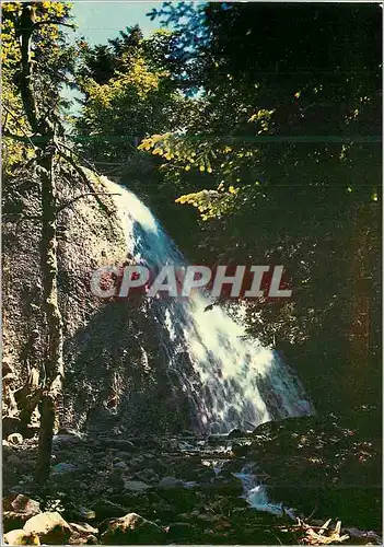 Cartes postales moderne Cascade du Rossignolet Environs du Mont Dore L'Auvergne Touristique