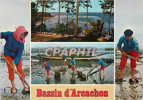 Cartes postales moderne Bassin d'Arcachon de Haut en Bas Echappee sur le Bassin Travaux ostreicoles Le ramassage des hui