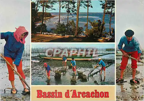 Moderne Karte Bassin d'Arcachon de Haut en Bas Echappee sur le Bassin Travaux ostreicoles Le ramassage des hui