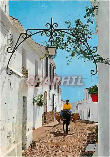 Cartes postales moderne Costa Del Sol Mijas Rue Typique Ane Donkey