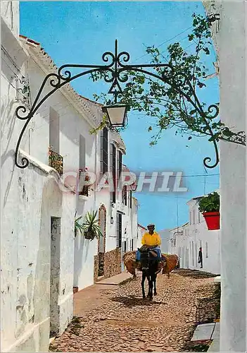 Moderne Karte Costa Del Sol Mijas Rue Typique Ane Donkey