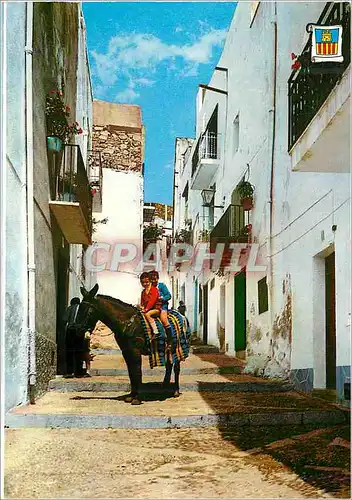 Cartes postales moderne Peniscola (Castellon) Rue Tipique Ane Donkey