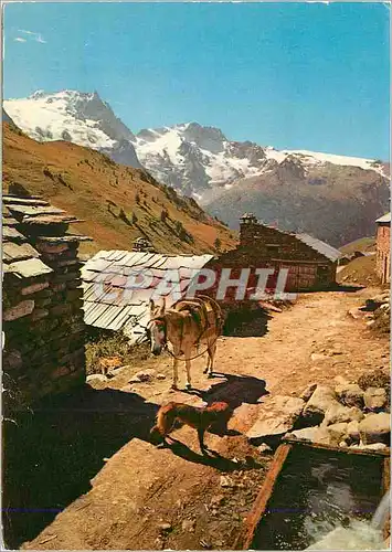Moderne Karte En Oisans Environs de la Grave Hameau Les Alpes en Couleurs Naturelles Ane Donkey