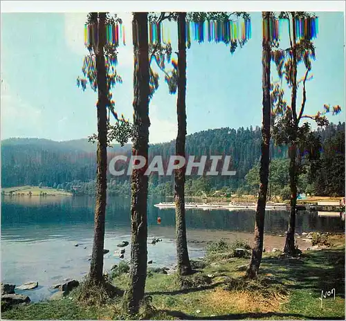 Cartes postales moderne Le Lac de Longemer (Vosges) Couleurs et Lumiere de la France